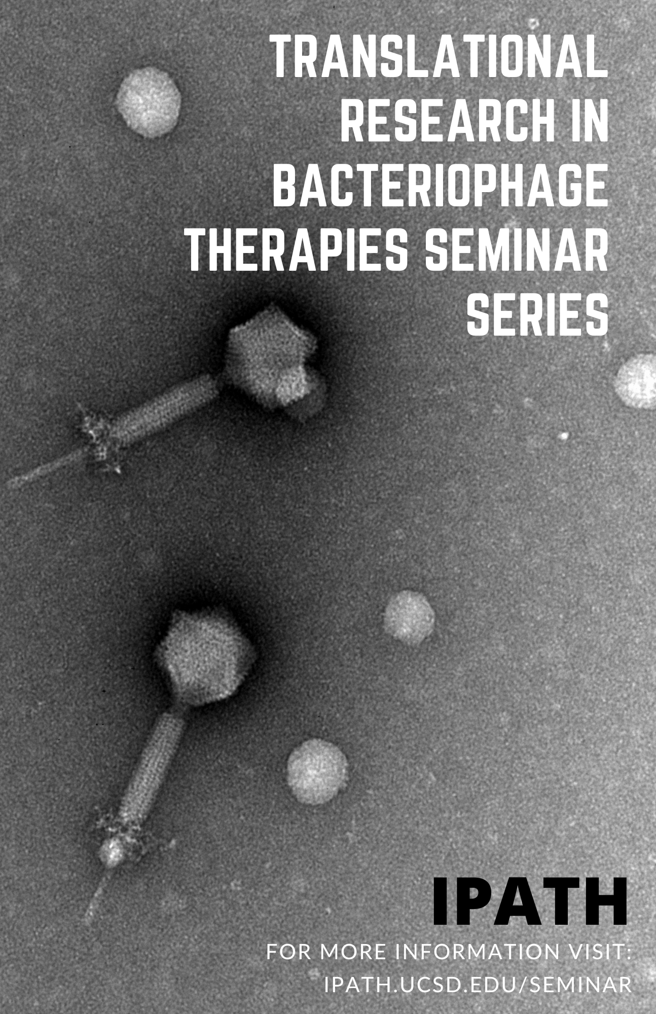 IPATh Seminar Series Flyer